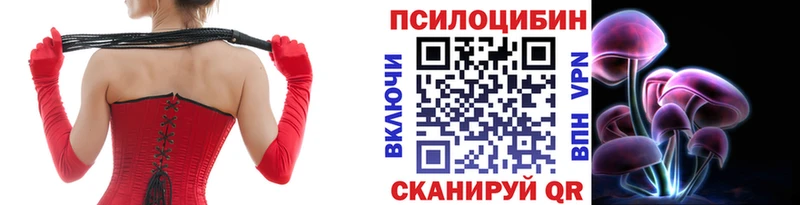 Галлюциногенные грибы прущие грибы цена Талдом